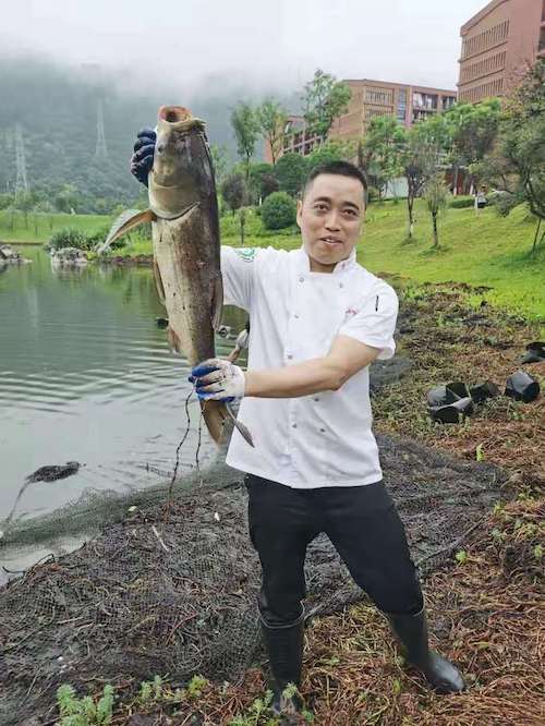 WechatIMG14.jpeg WechatIMG14.jpeg