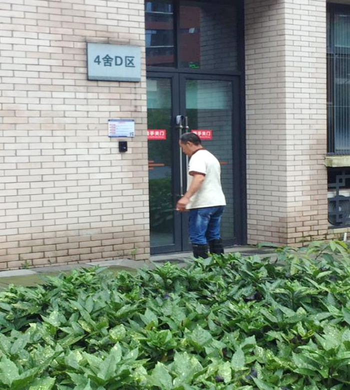 图片3.png 图片3.png