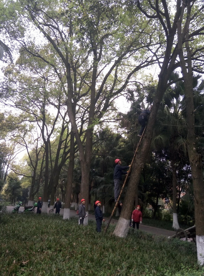 QQ图片改.jpg